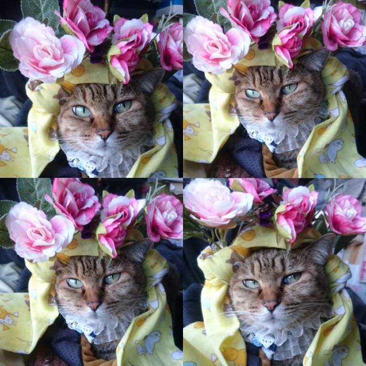 5d2ac911 a853 4da7 8126 5f23c47c0e38 1772837542746