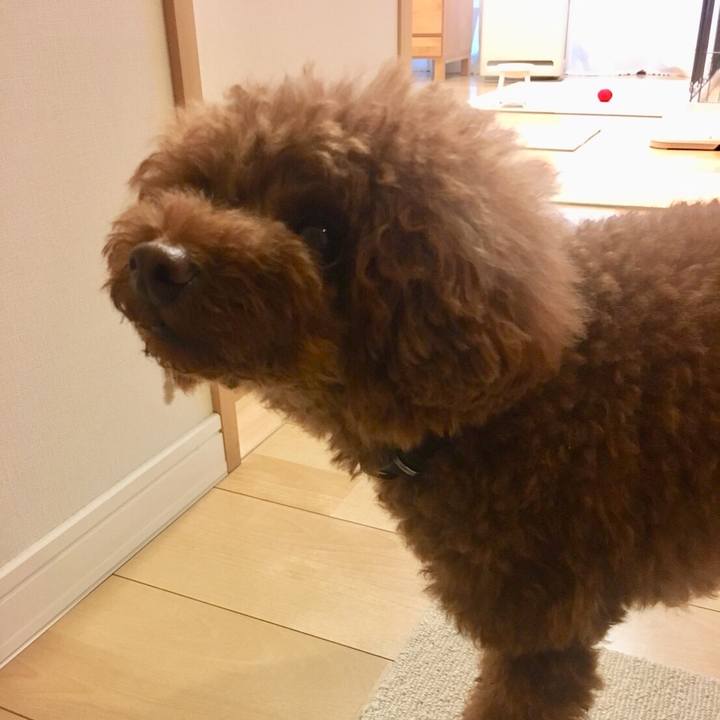 5d2ad337 f772 4de4 887e 1b98706e05ff 1528240999048