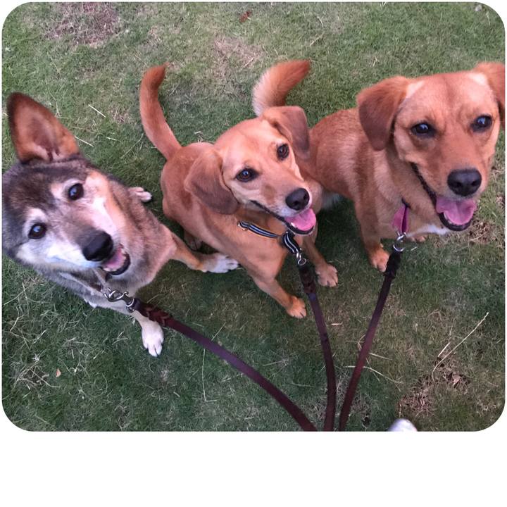 5d2afda5 b52b 40f5 b0af 4a7416d33245 1531737656419