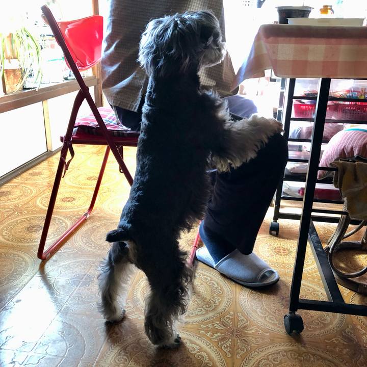 5d2b1c34 0ee1 4257 bcd7 b869ecef0be1 1698977055716