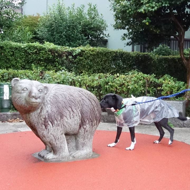 5d2b29ef 831b 44b2 945c 994521a60084 1595499648378