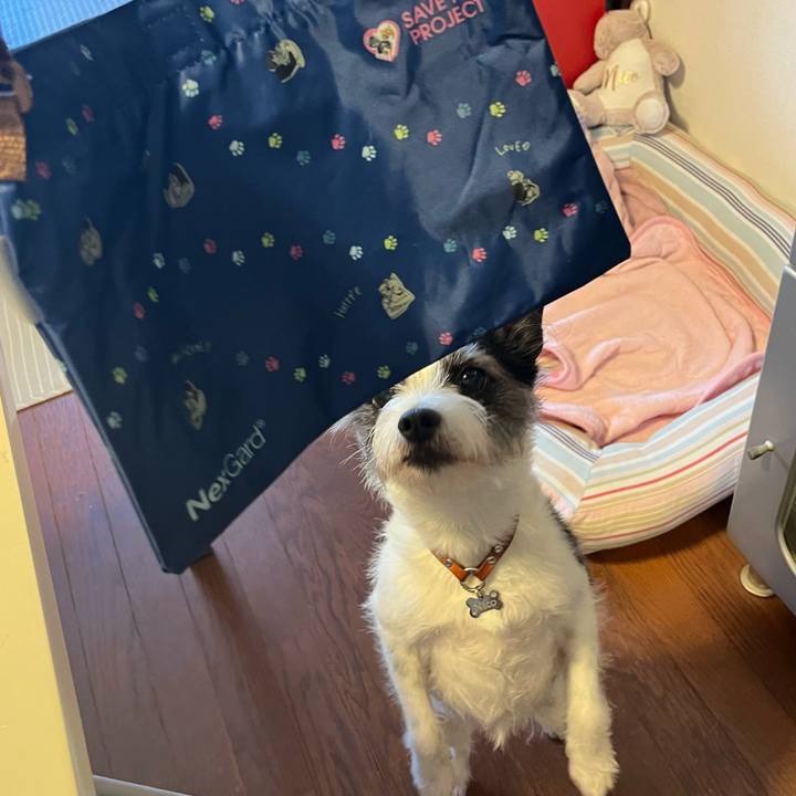 5d2b756b d7a6 47a0 97e2 baa91ede75aa 1716005614611