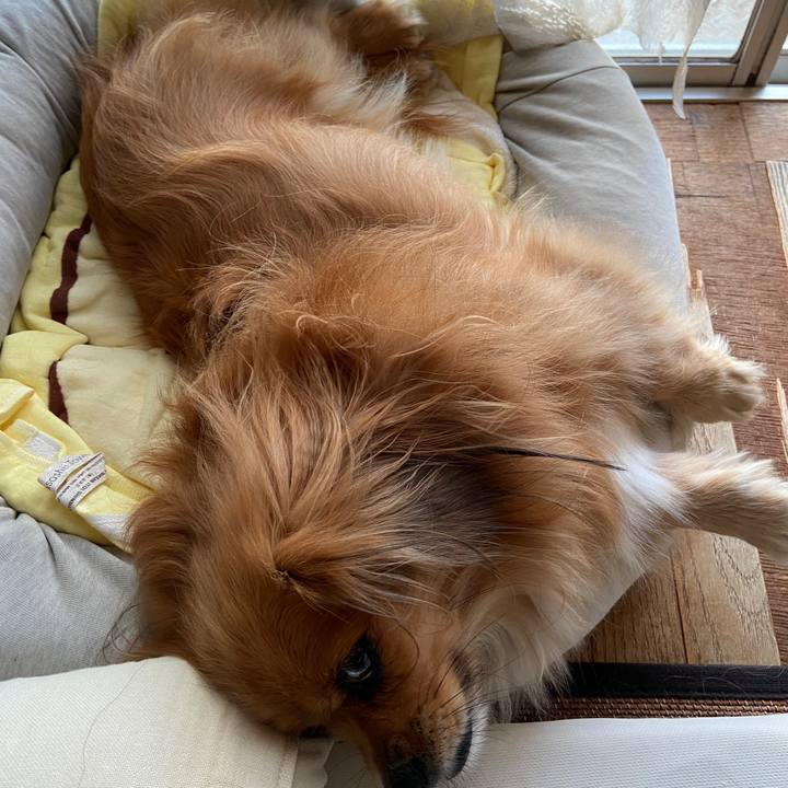 5d2bbb03 8c3f 4149 9105 42bbeb03db73 1633731196593