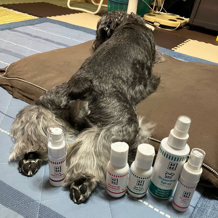 5d2c019c acf5 4d44 860f a6ed87d87f63 1726390374716