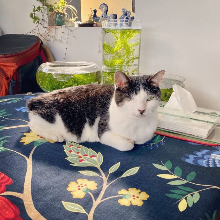 5d2c1e9e f44f 4fa1 9814 b1132f979b9c 1638684173520