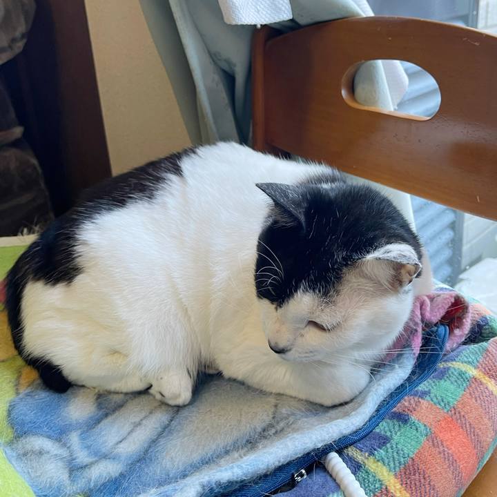 5d2c709d 2aaa 4a2a b1ca b3a6338d2873 1764802326256