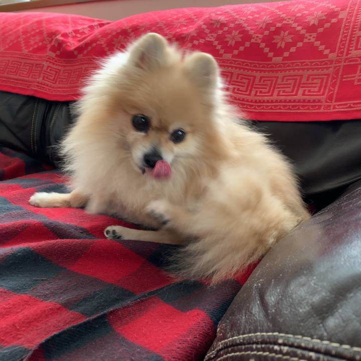 5d2c8d97 2b4f 4b99 80ab 2490633346cd 1647663569032