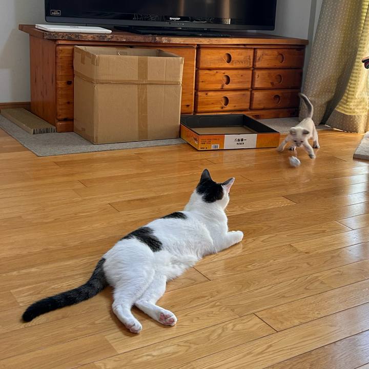 5d2cb892 3f63 4767 b4e5 706676ab7928 1721625329291