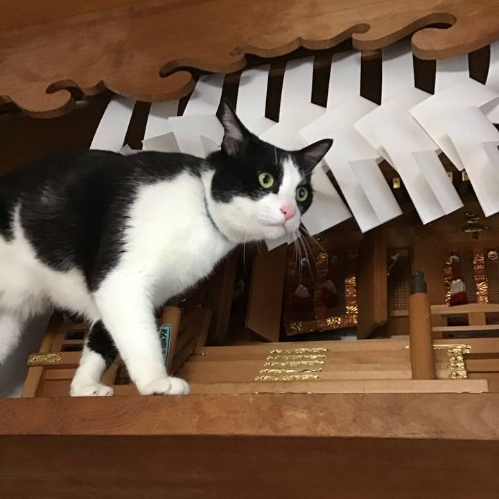 5d2d32db ac6a 4a50 af60 bd910d6c85d5 1747907131519