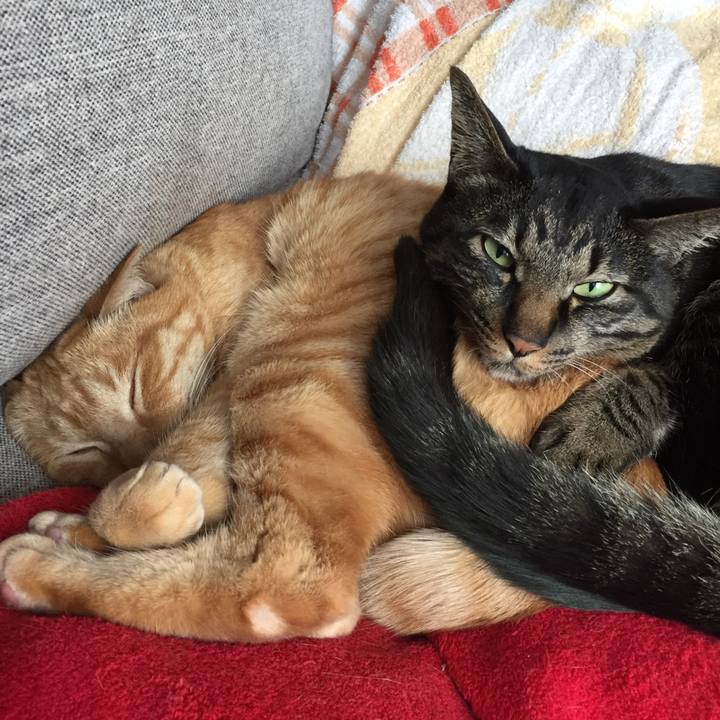 5d2d3900 6889 4d18 b192 e9825276dea0 1554640900557