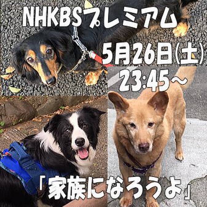 5d2d436c 9fd7 4354 a675 d6fc67997ffa 1527307996202