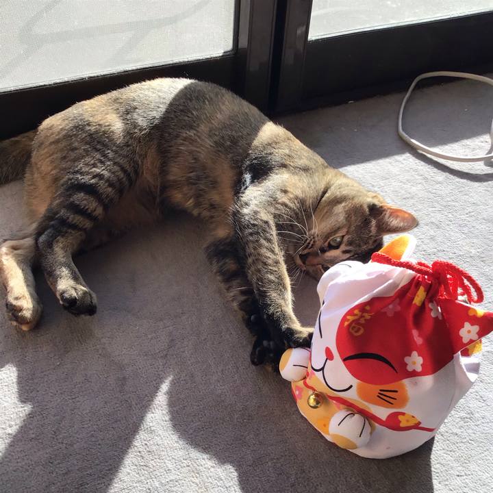 5d2d57a4 5026 4251 95bc 07c18bc732e7 1578631000355