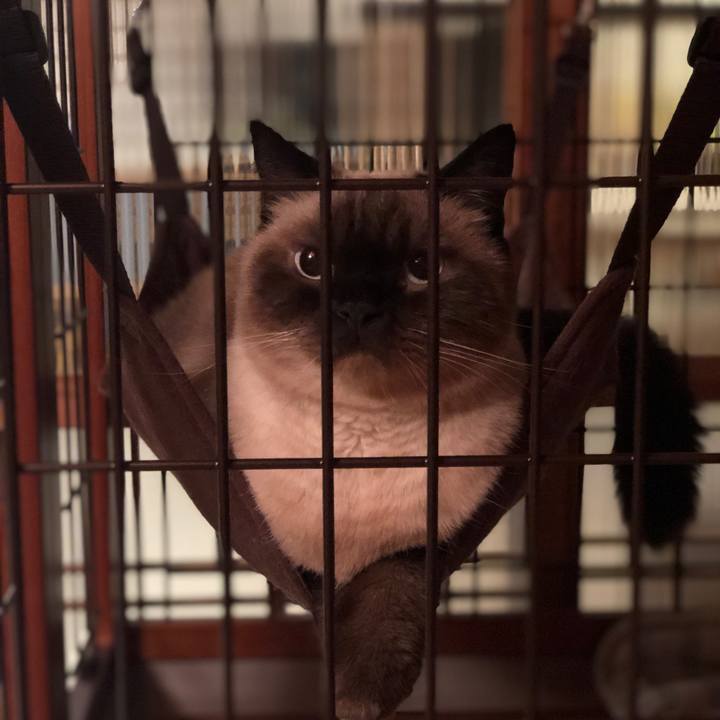 5d2d6299 597e 46f0 883e 72fba891eb68 1632283279993