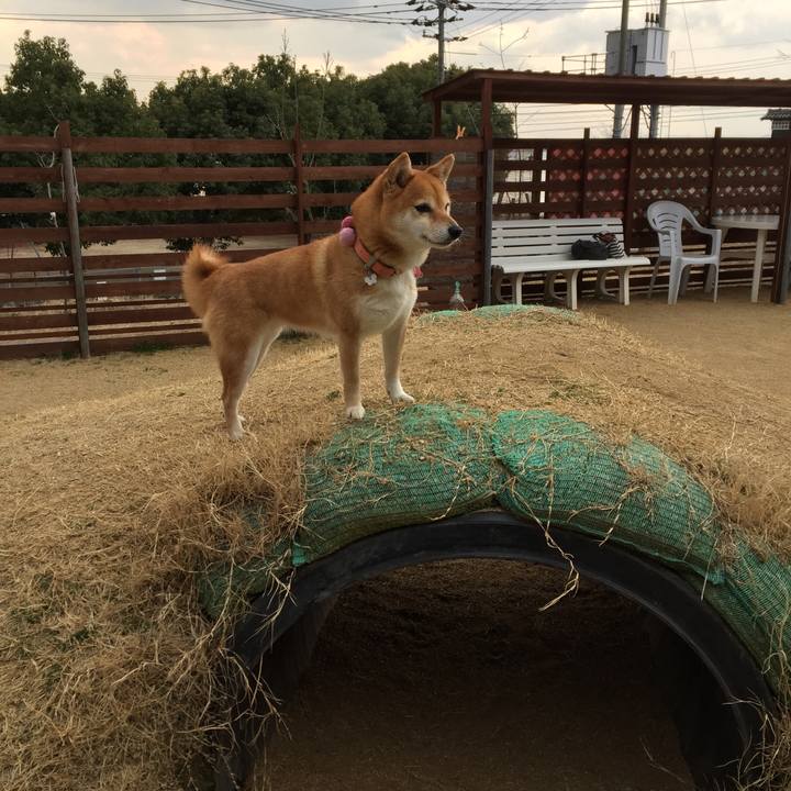 5d2d6ff3 c70b 429c 905d 2032ad69cded 1519195497703