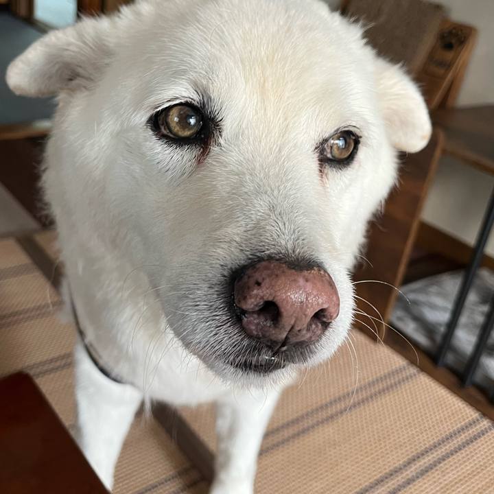 5d2d8004 3a63 40c2 9dae b482a03256c9 1763857179171