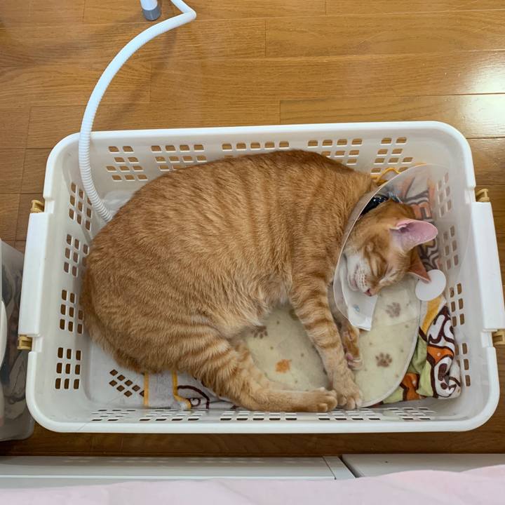 5d2da8e8 6c1e 4033 bc8f 1a9272b955c6 1570925149009