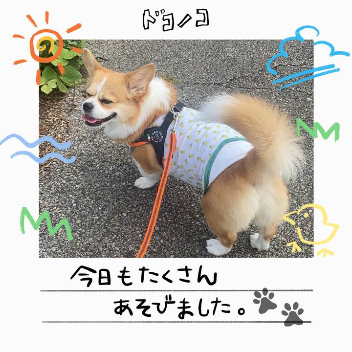 5d2db8c6 5ea6 4c33 bda2 14a0d2cf0ddb 1755320195128