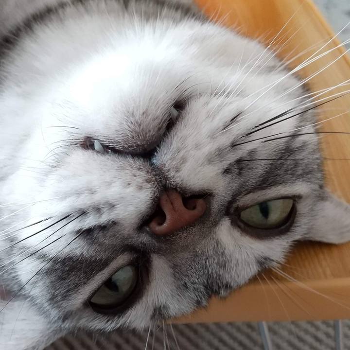 5d2dca37 4284 4bb7 835a 1d7f129c8842 1688266308984