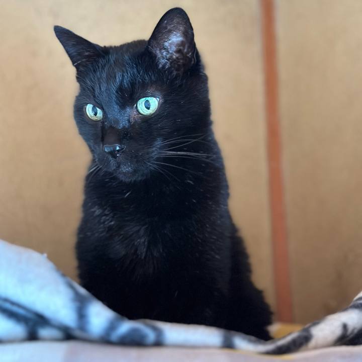 5d2dd8b7 48ab 4b04 bf06 b35750a224fd 1680227229319