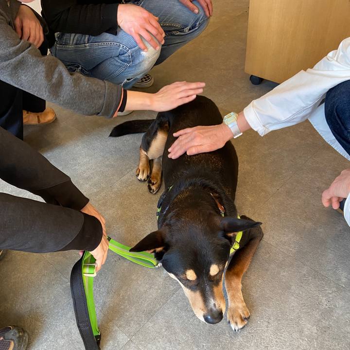 5d2dea4e 0ce8 47bd 95d6 32780fe5d0b9 1615379833953