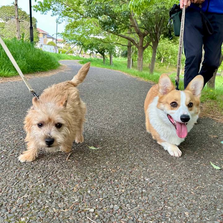 5d2ded52 b083 457c a20e e09a2358668d 1713621018331