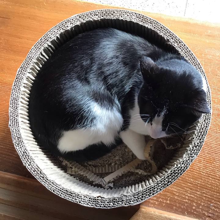 5d2deec7 c279 454d 8649 425dcb2dcada 1708763278551