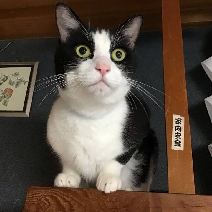 5d2df9b6 1a75 45df b31e 217eb58617be 1758249826466