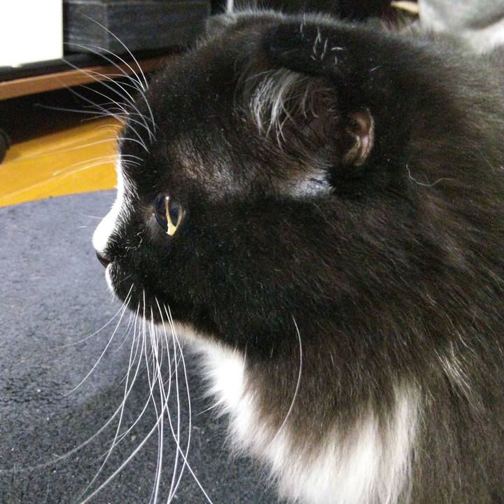 5d2e02eb d0d4 4948 8532 c733a4b688ae 1650194442773