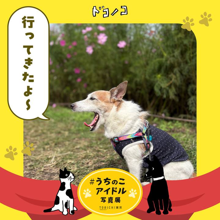 5d2e482c e9c0 482b a1a8 7622d469c860 1761436077239