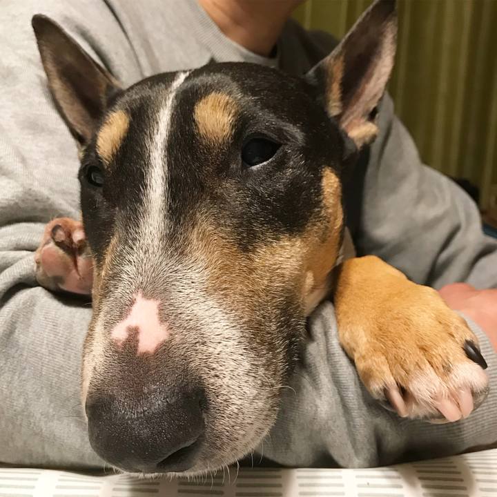 5d2e66be d6ed 4ce7 8c96 cdf47b32cb9d 1522412503892