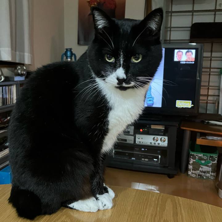 5d2e8679 7a84 47d7 b75e b3e93f501849 1738130600217