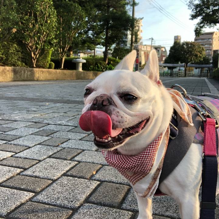 5d2e8c72 8d66 4cac b68e 562d3fda434a 1596341620033