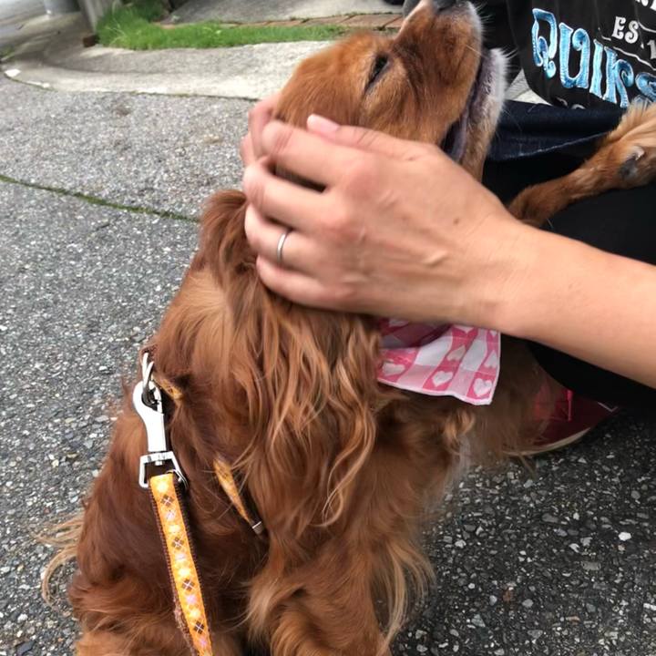 5d2ead1f c07e 4a8b a720 46d49006c1fa 1625918361669