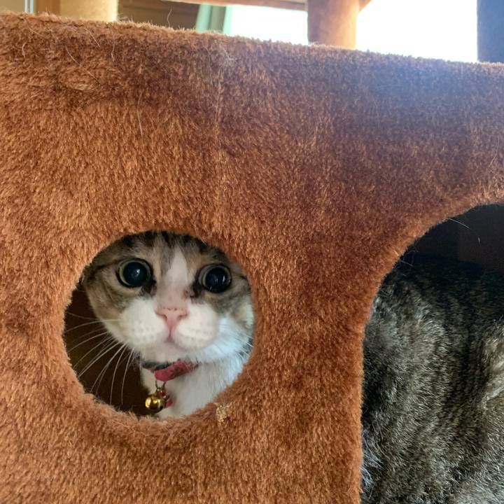 5d2eba1b cee9 43b1 87a3 06bb5ef7b9b5 1698123258914