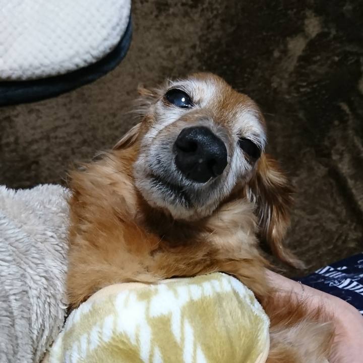 5d2eeb7b 677f 4df3 99a5 2835499db201 1514569982113