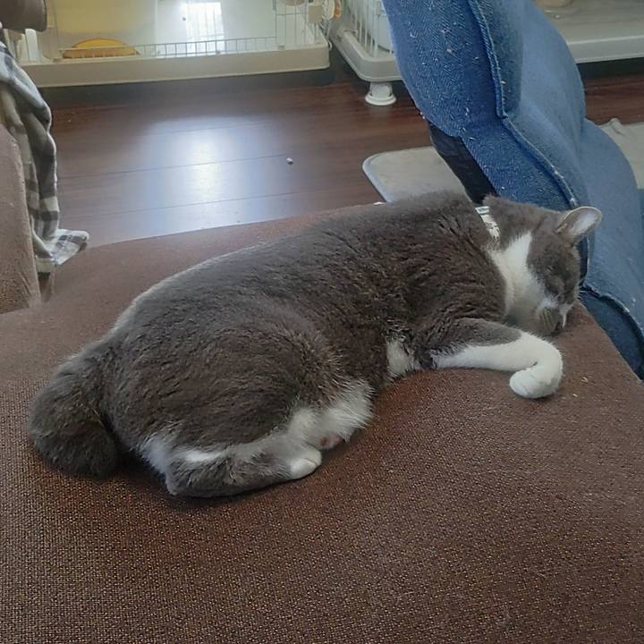 5d2ef55c 0393 4fea a12b 0c9074275a04 1724328491204