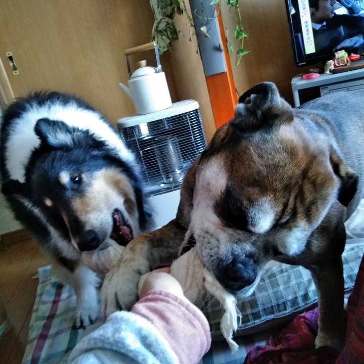 5d2f1441 f21e 48e4 929d 8afc98c7b23e 1554085228738