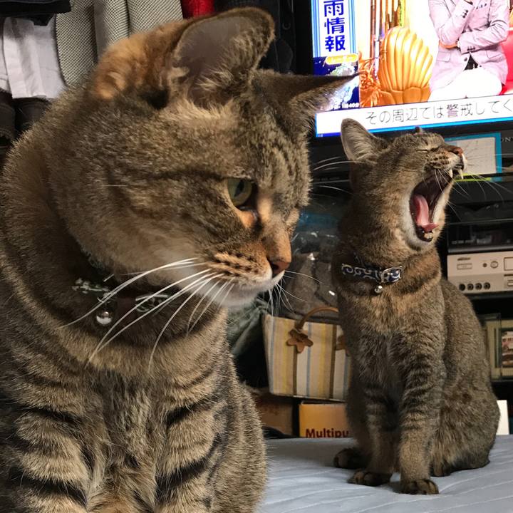 5d2f3c3c 7f06 4486 9467 71418f1a374c 1563693371107