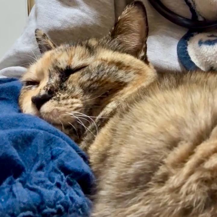 5d2f60a4 9a33 405c 89a8 d5e8d03849cb 1769519932281