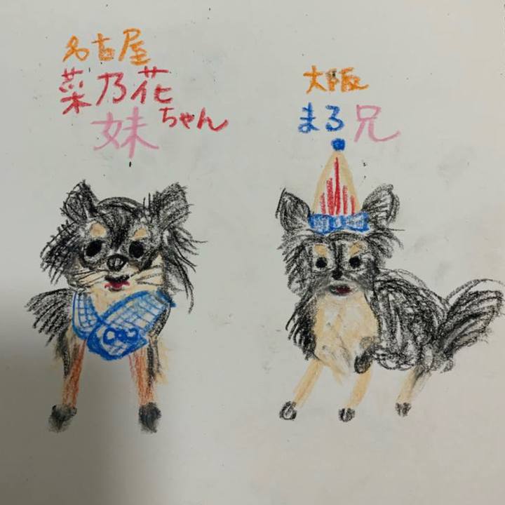 5d2f97d8 7024 45d4 b747 a0753045bc75 1624963377691