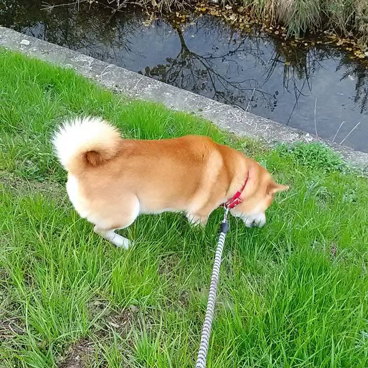 5d2f992f 4859 4944 b1ca be66214cefb9 1605849626779