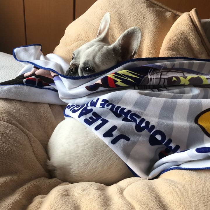 5d2fa98d 69b2 45a5 b0bc 89ee4fc37bfb 1614680445839