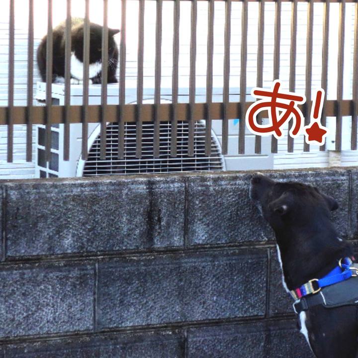 5d2fbc3b 1b10 47a2 b3be ae6255fc5859 1638492906380