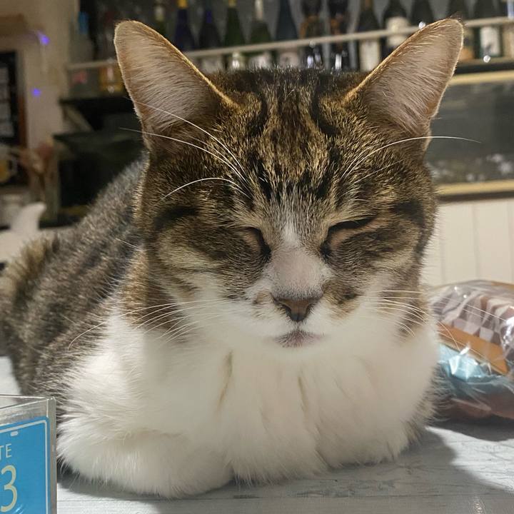 5d2fee98 1eaa 4b5e a440 b73b7b73b62e 1737557382798