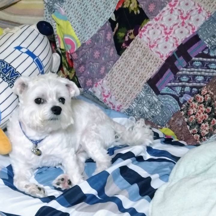 5d3000d2 a18a 4208 88a0 66033ad834e1 1692006389559