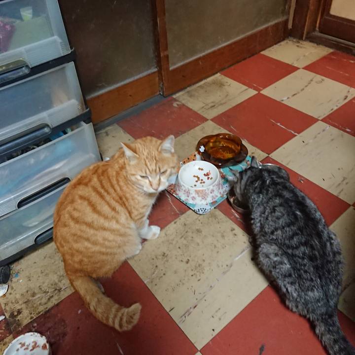 5d302a17 d180 43f8 8206 b561d4c6c281 1583747618018