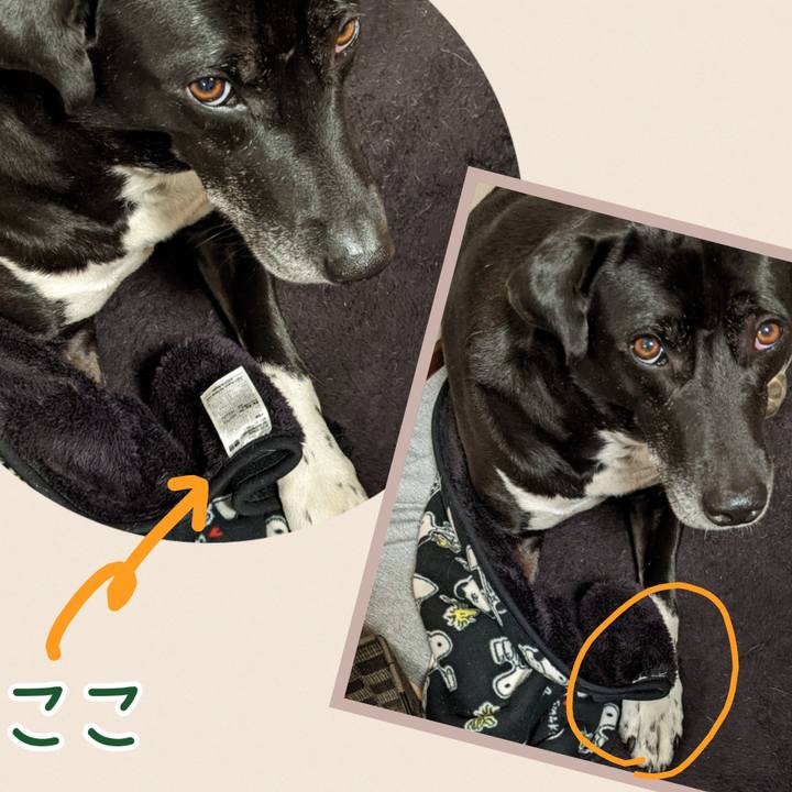 5d303e9e 384d 4d3b 8f29 82bfb74d3aa9 1675595365716