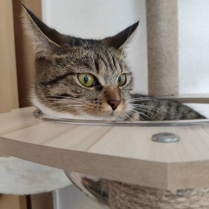 5d30501e 79d3 498f b701 f1806a10f2c4 1663894526181