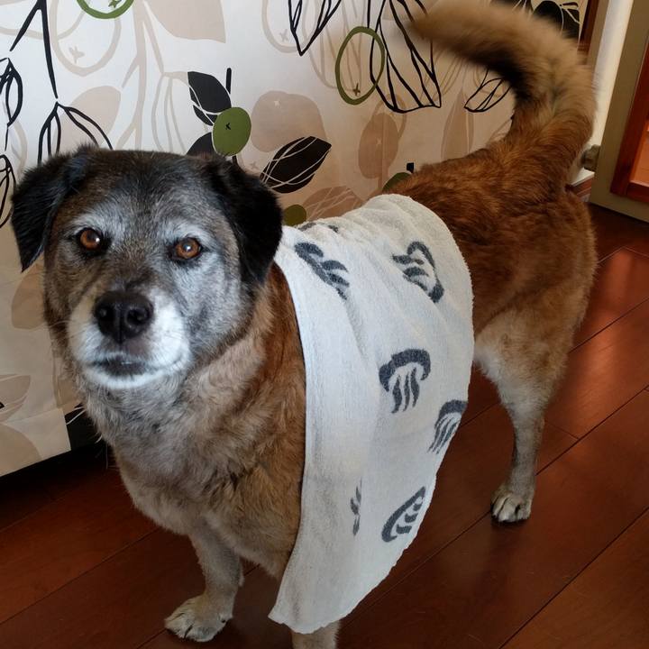 5d3063fc e506 4e94 b06f 3f4792500e7c 1519694015265