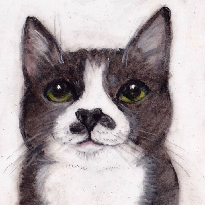 5d308179 1c2b 45f0 a097 0a5d4e8bbae6 1673353942124